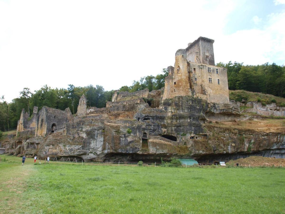 Cozy Cottage In Aquitaine With Private Swimming Pool Peyzac-le-Moustier Exterior photo
